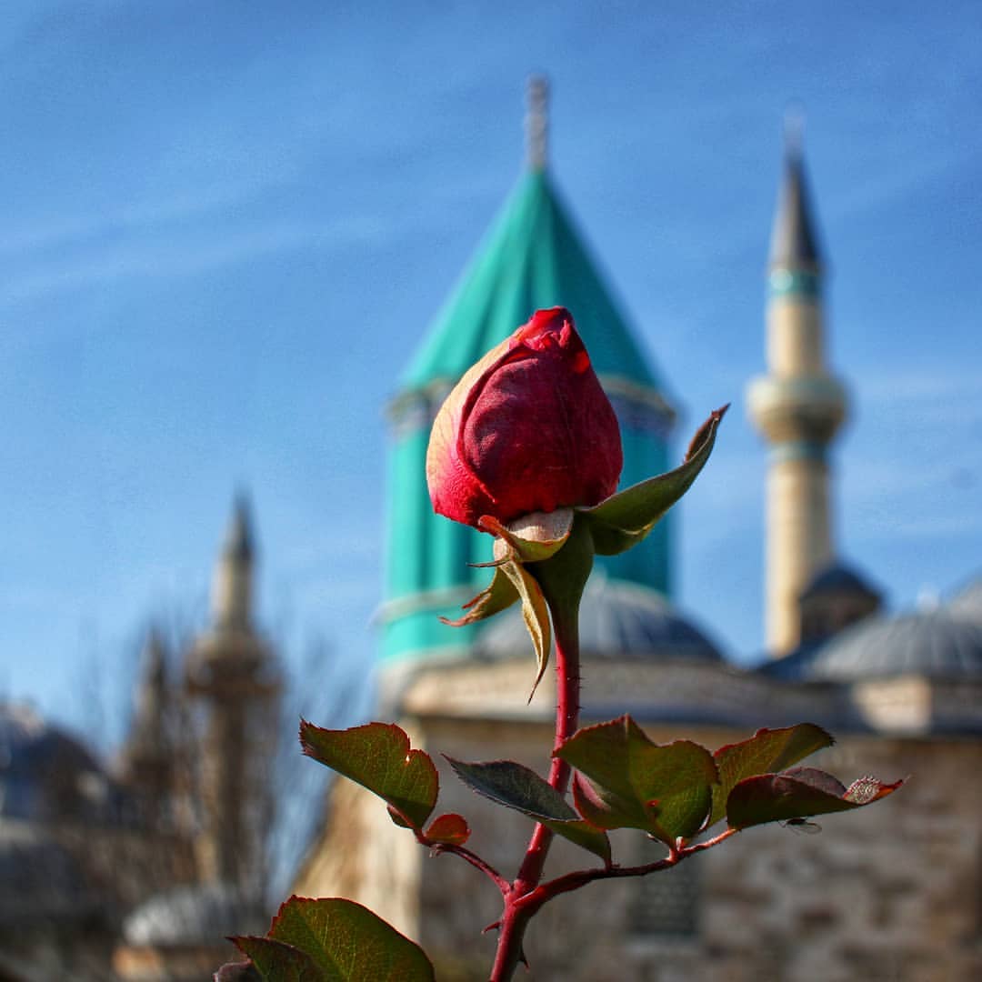 Holy Shrine of Maulana Jalaluddin Mohammad Rumi Balkhi In Konya 23