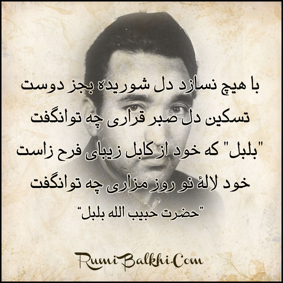 با هیچ نسازد دل شوریده بجز دوست