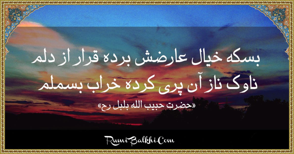 بسکه خیال عارضش برده قرار از دلم