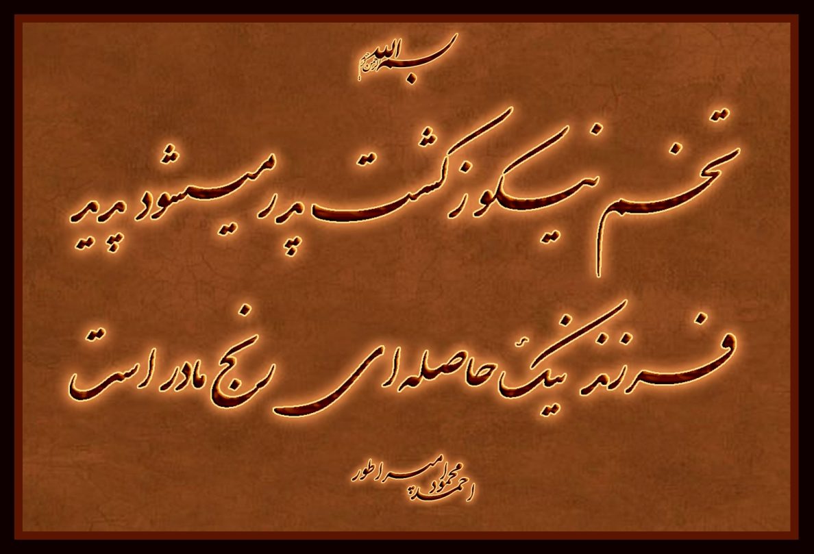 تخم نیکو ز کشت پدر میشود پدید