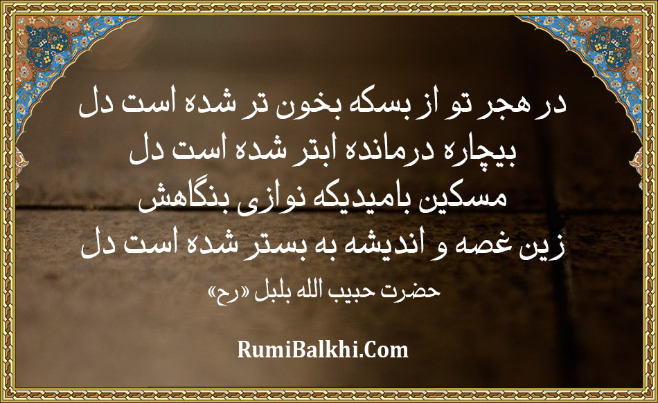 در هجر تو از بسکه بخون تر شده است دل