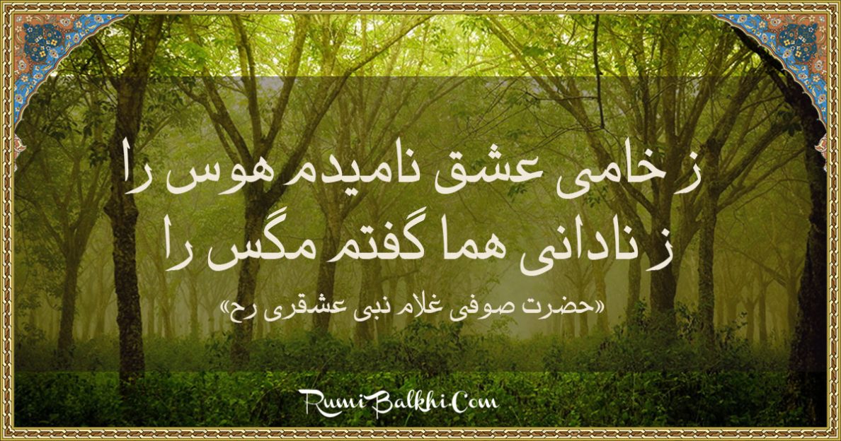 ز خامی عشق ناميدم هوس را