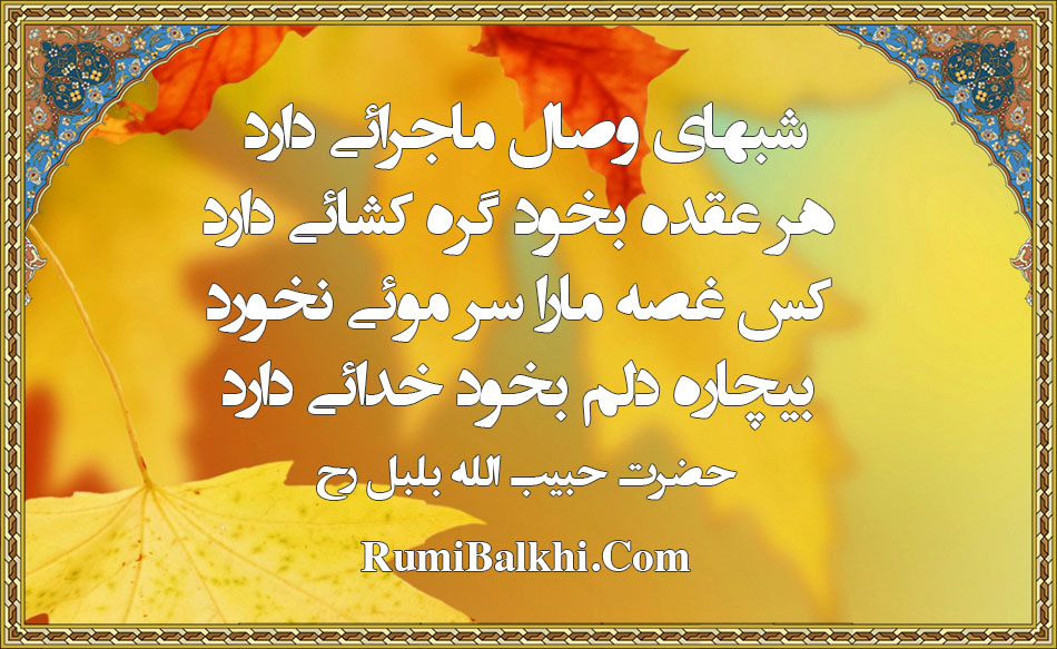 شبهای وصل ماجرای دارد