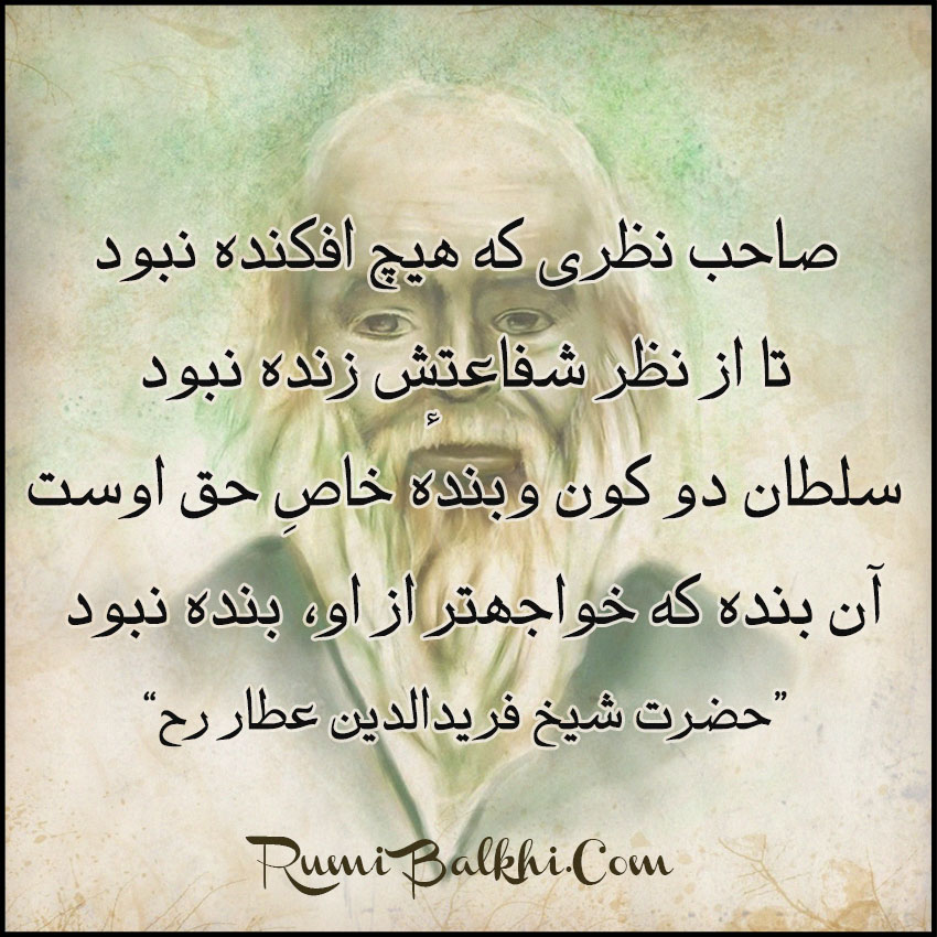 صاحب نظری که هیچ افکنده نبود