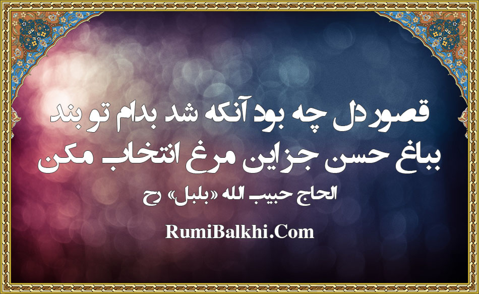 قصور دل چه بود آنکه شد بدام تو بند