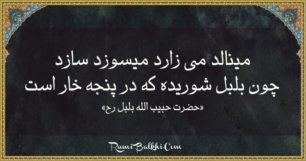 مینالد می زارد میسوزد سازد