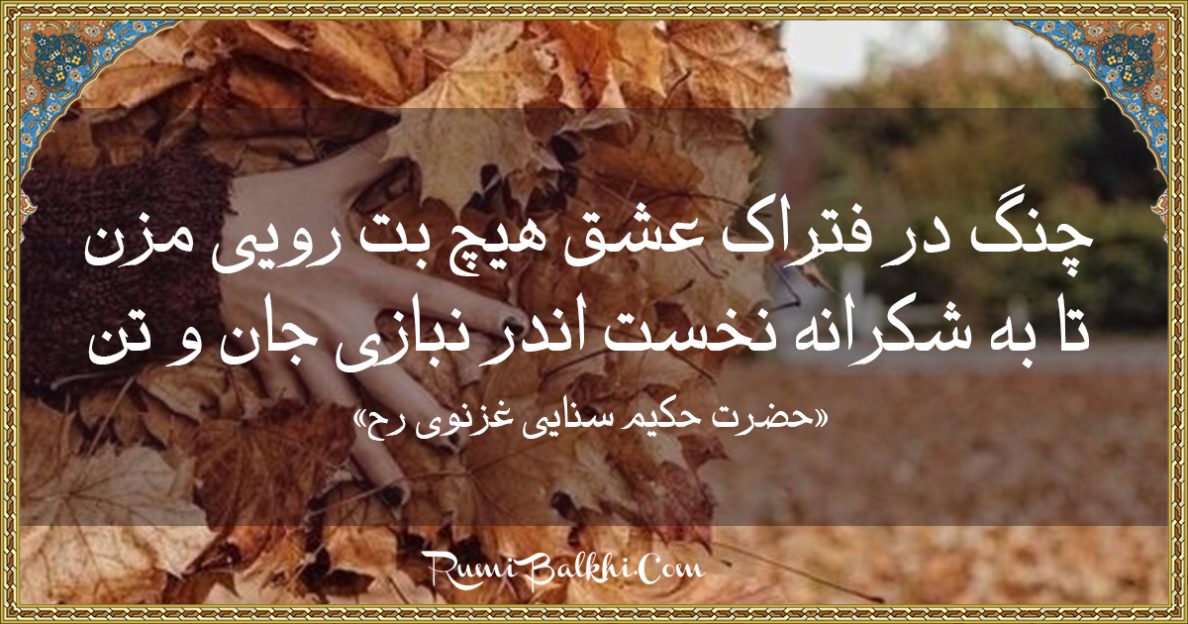 چنگ در فتراک عشق هیچ بت رویی مزن